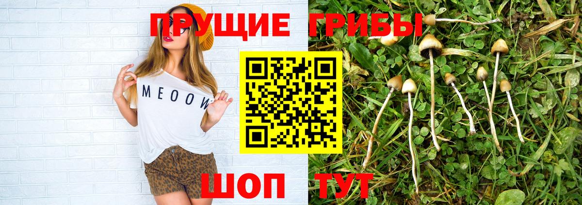 Галлюциногенные грибы ЛСД  наркошоп  Псилоцибиновые грибы Psilocybe  Элиста  Вход с VPN 