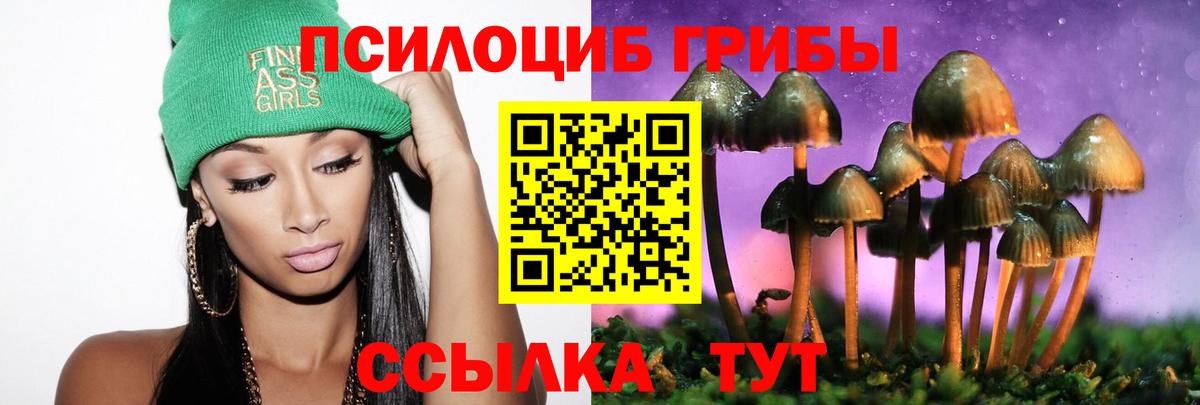 Псилоцибиновые грибы Magic Shrooms Элиста